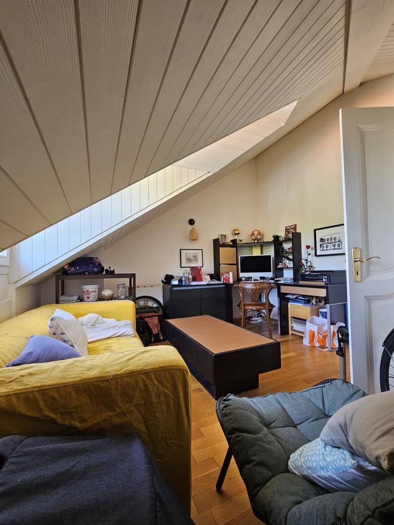 Bel appartement 6 pièces à Chêne-Bourg (6)