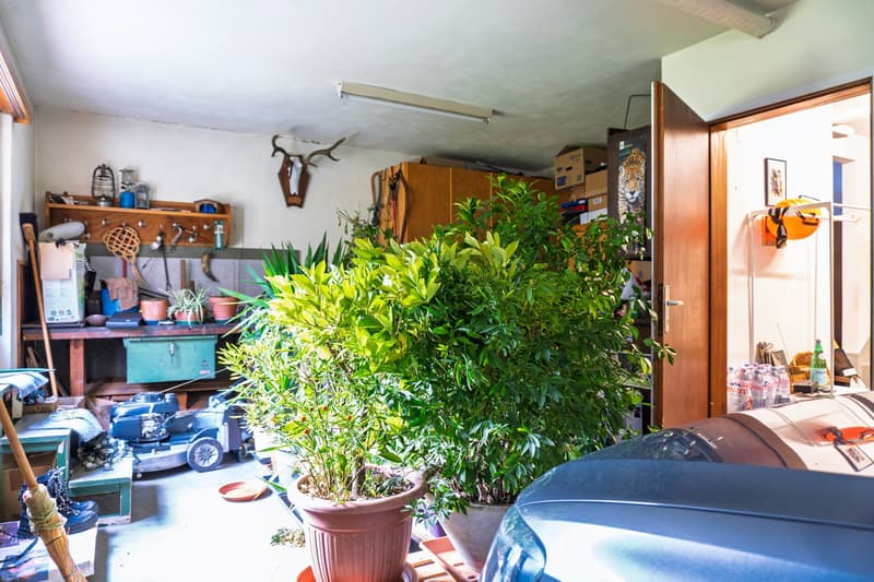 Ampia Casa con Giardino a Roveredo (36)