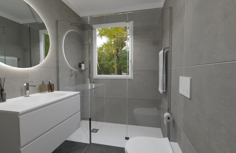 modern bathroom, glass shower enclosure, white sink, round mirror, white toilet, towel rack, toilet paper holder