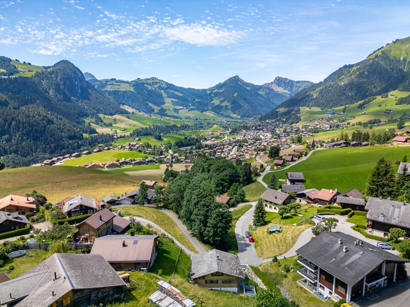 MAGNIFIQUE CHALET AU PAYS D'EN HAUT PROCHE DE GSTAAD VUE MAGNIFIQUE | homegate.ch