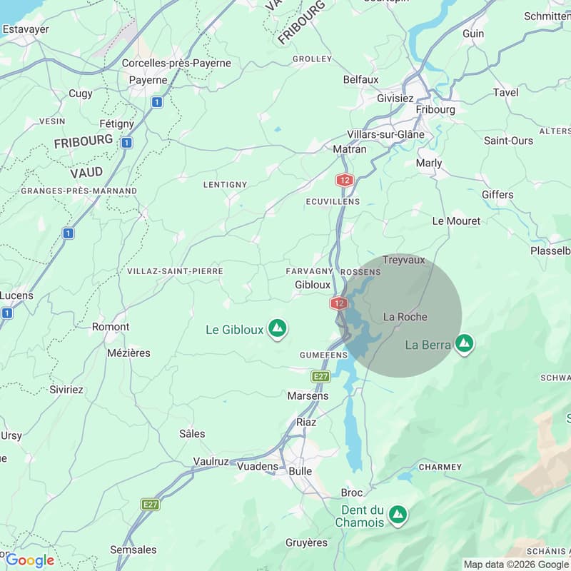 DERNIERE OPPORTUNITE VILLA NEUVE EN GRUYERE (2)