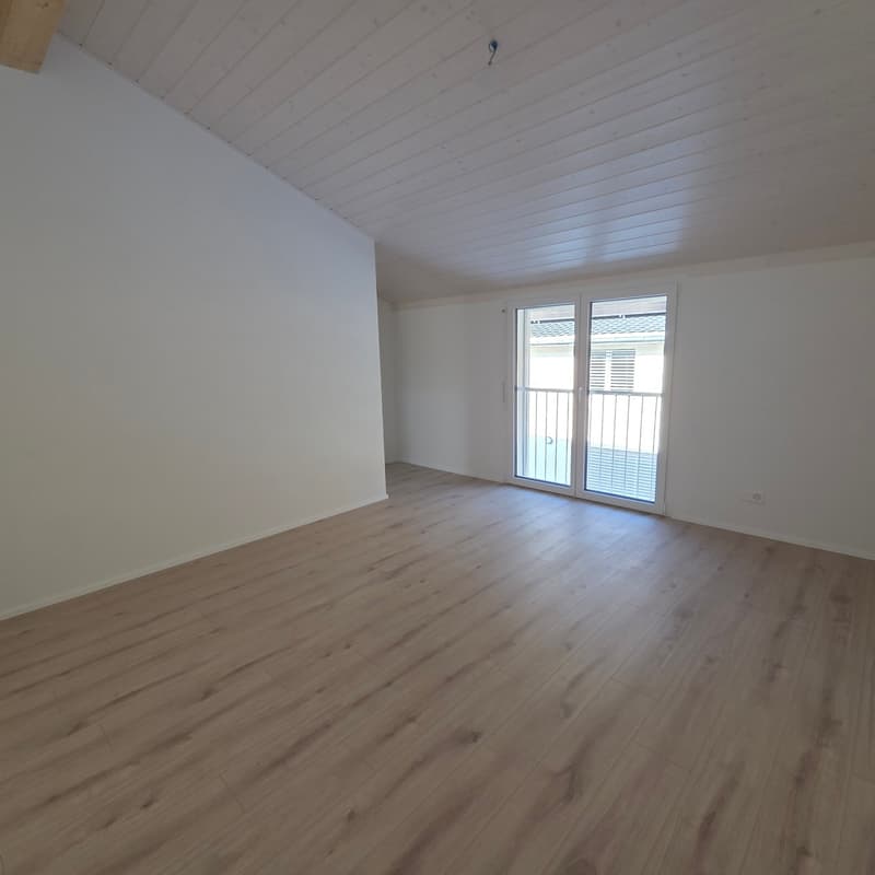 DERNIERE OPPORTUNITE VILLA NEUVE EN GRUYERE (5)