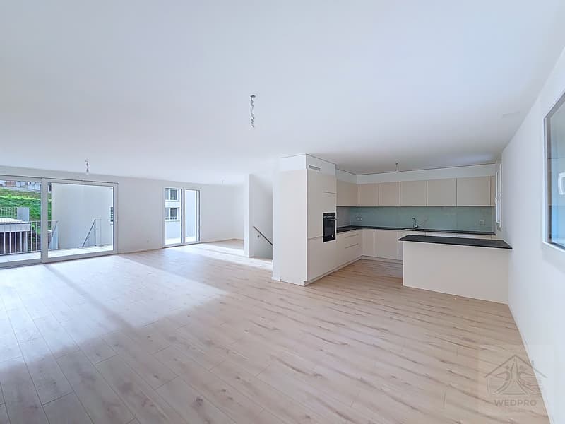 DERNIERE OPPORTUNITE VILLA NEUVE EN GRUYERE (3)