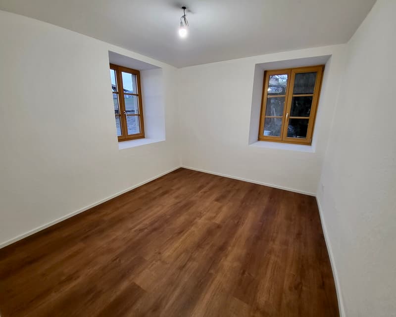 Élégant appartement rénové dans une bâtisse de caractère avec terrasse et jardin (6)