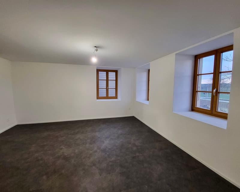 Élégant appartement rénové dans une bâtisse de caractère avec terrasse et jardin (2)