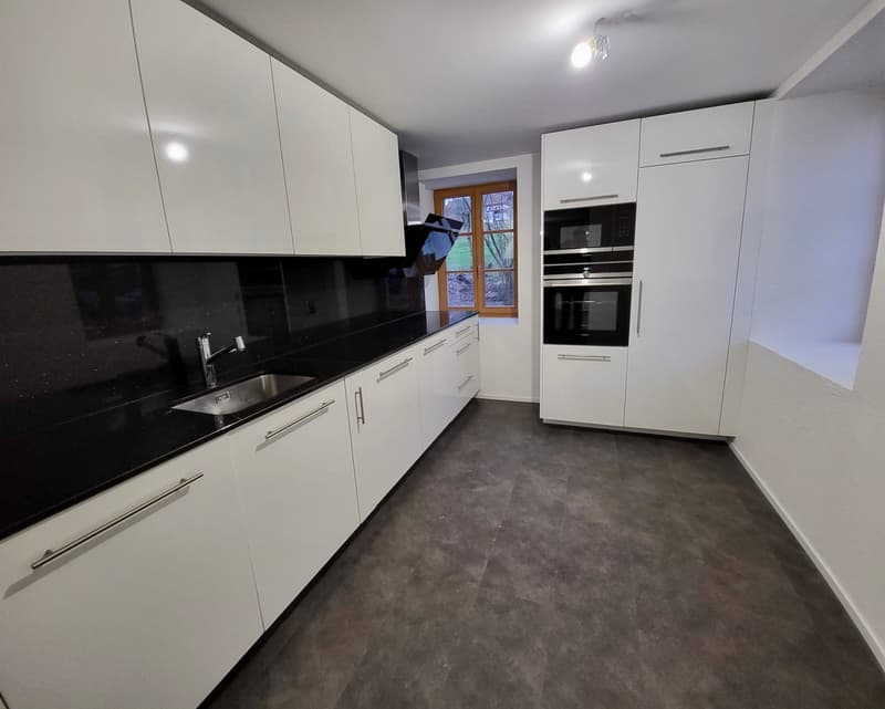 Élégant appartement rénové dans une bâtisse de caractère avec terrasse et jardin (4)