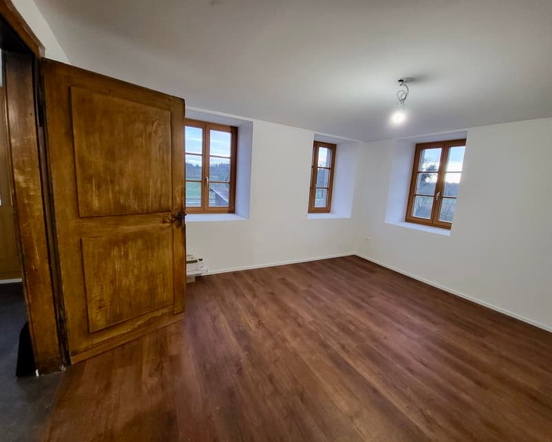 Élégant appartement rénové dans une bâtisse de caractère avec terrasse et jardin (3)