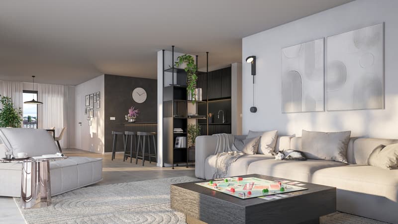 ESPACE-LUMIERE-VUE-3 ou 4 CHAMBRES-TERRASSE en ATTIQUE (4)