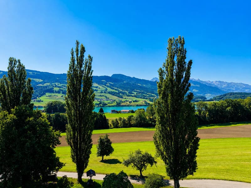 4,5 pièces-situation unique-vue panoramique-jardin-terrasse (1)