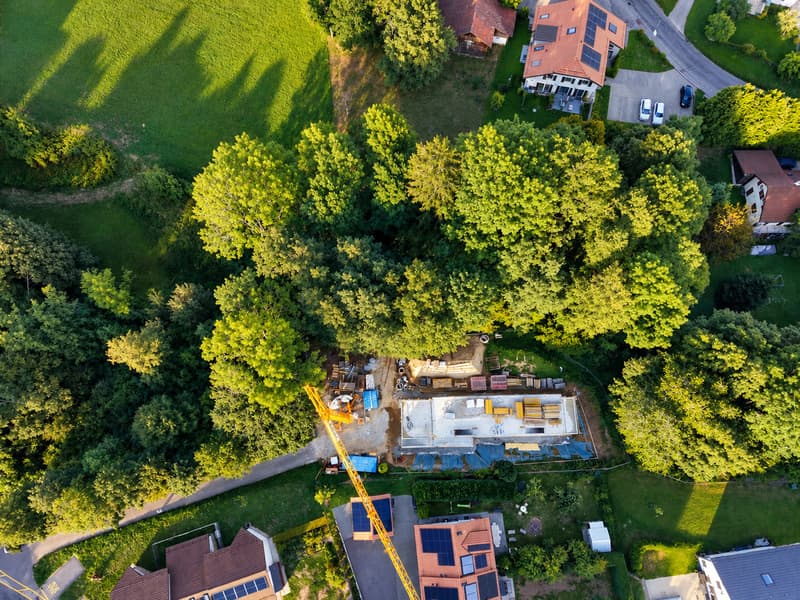 Propriété dans son écrin de verdure