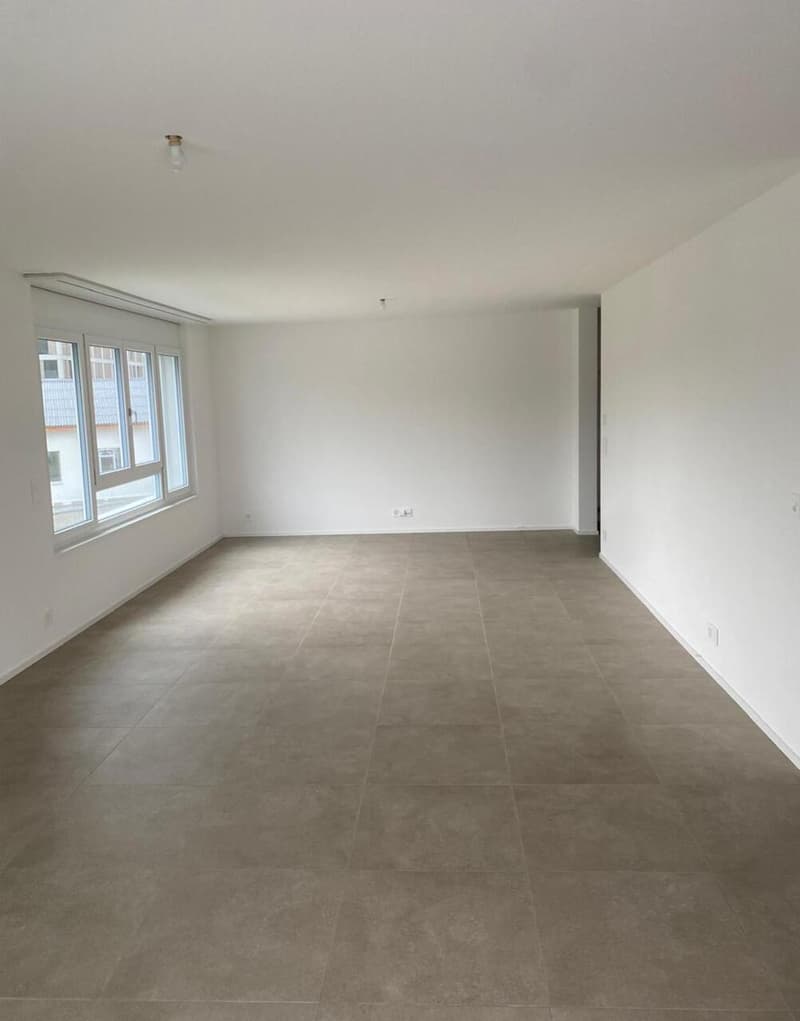 Magnifique Appartement à remettre au 01.12.2026-Reprise de bail (6)
