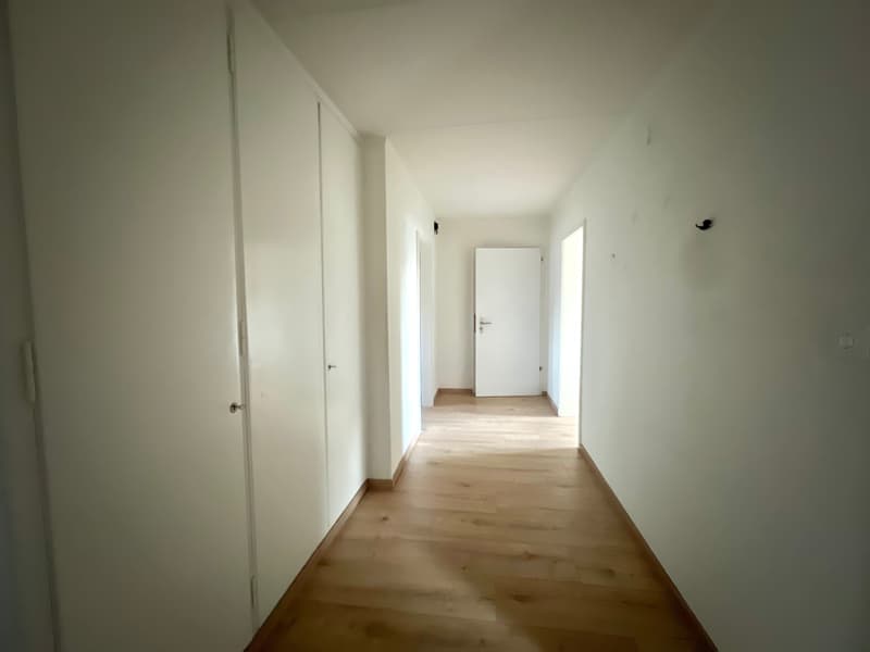 Affascinante appartamento di 4.5 locali con balcone a Wittenbach (2)