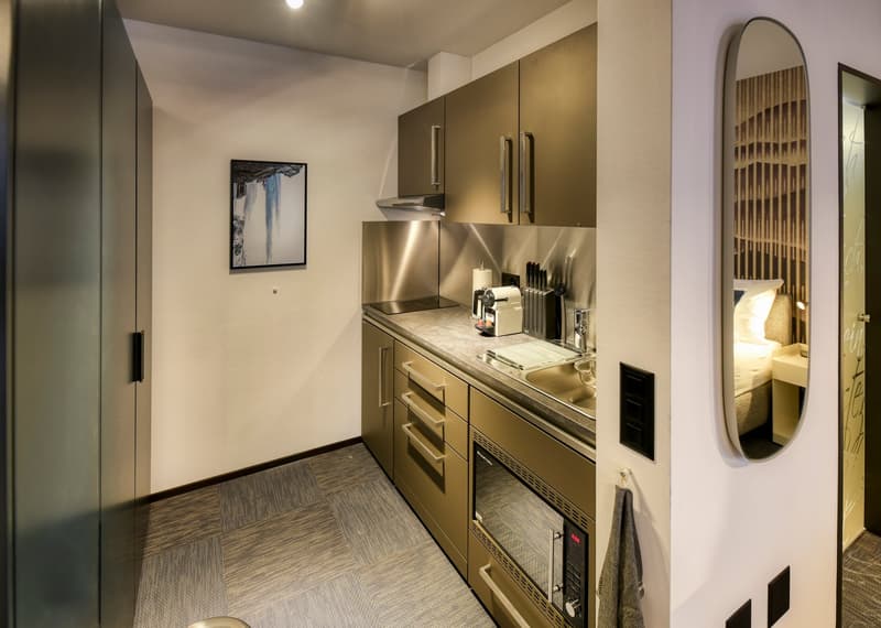 Modern kitchen with stainless steel appliances, including a dishwasher and a private washing machine. The kitchen has dark cabinets, a marble countertop, and a backsplash. There is also a framed artwork on the wall.