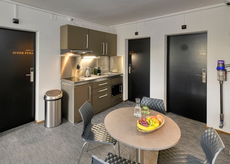 neu renoviertes, möbliertes Apartment "F/A-18" in Emmenbrücke (3)