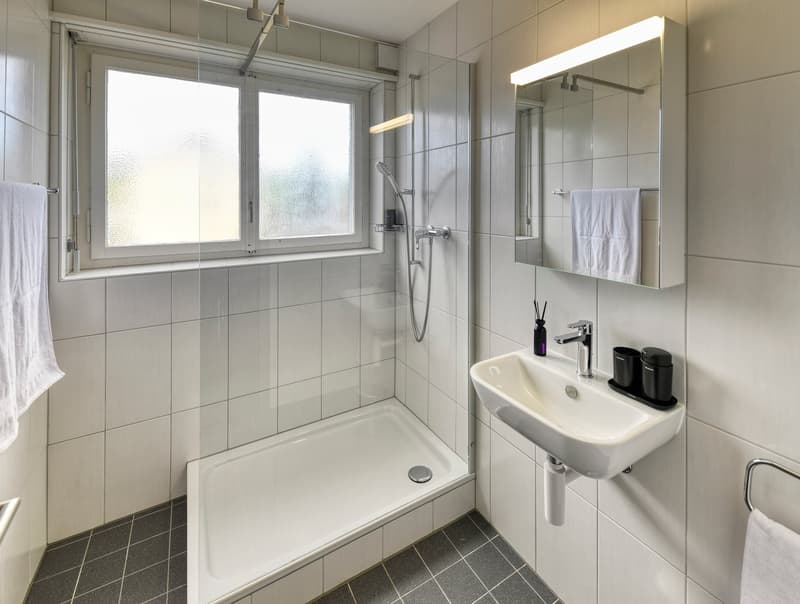 neu renoviertes, möbliertes Apartment "F35" in Emmenbrücke (6)