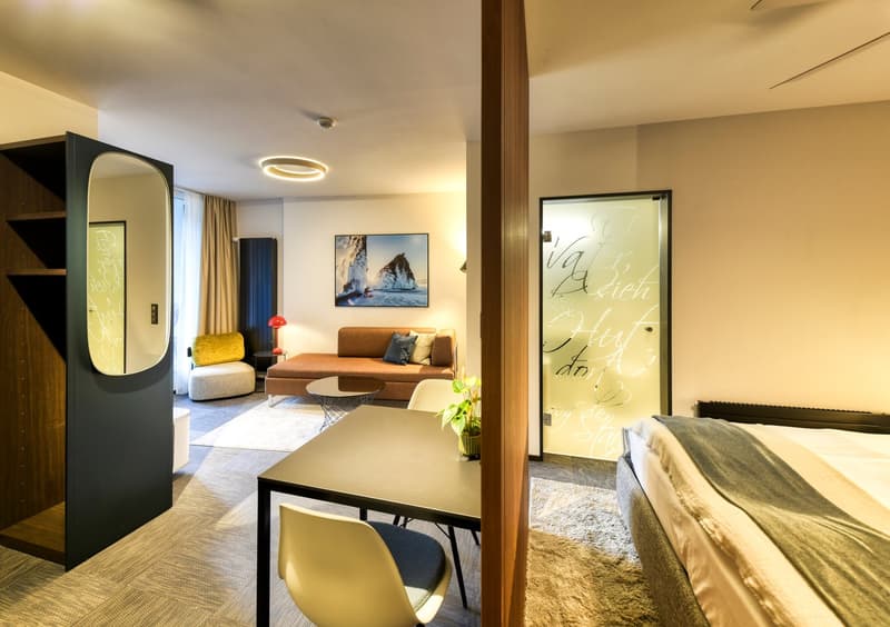 Neues möbliertes 2-Zimmer-Apartment an sehr zentraler Lage in Altdorf (11)