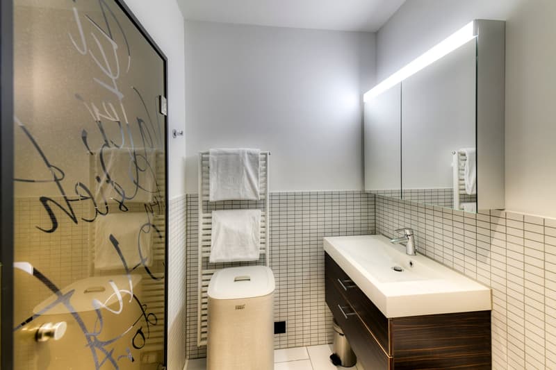 Neues möbliertes 2-Zimmer-Apartment an sehr zentraler Lage in Altdorf (13)
