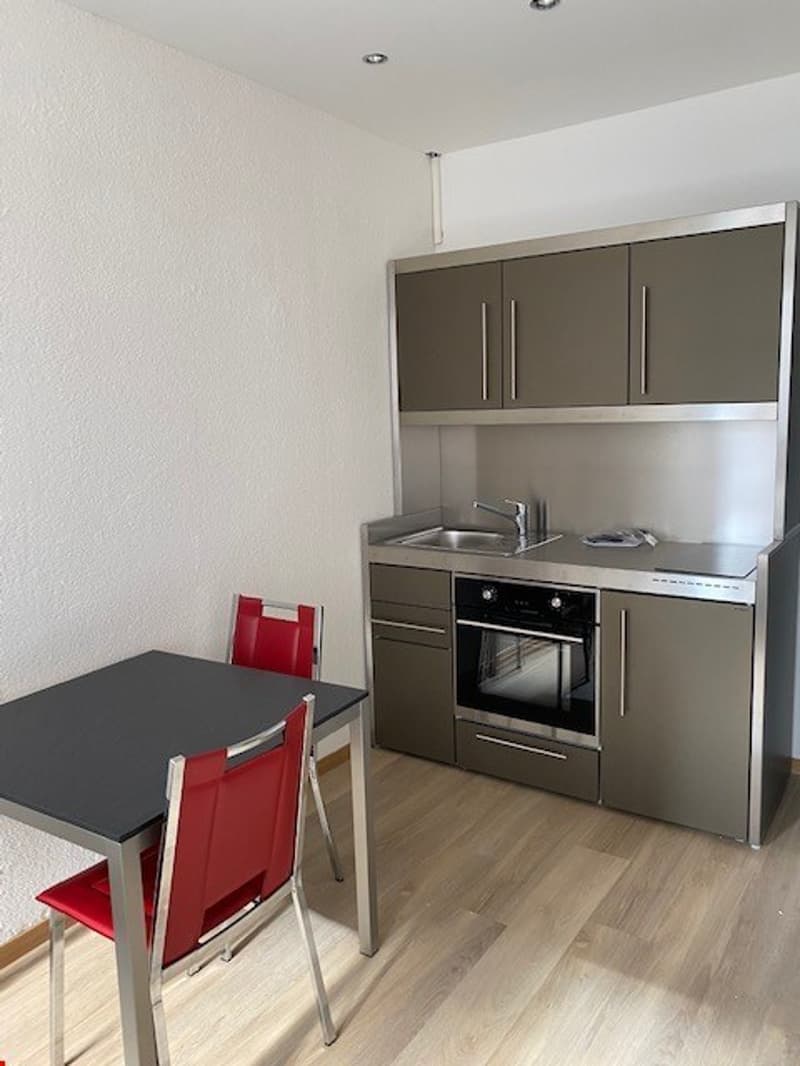 Modernes, möbliertes Studio in Hergiswil zu vermieten (1)