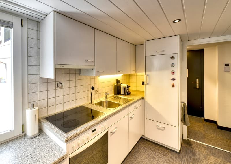 Neue möblierte 2-Zimmer-Wohnung an sehr zentraler Lage in Altdorf (9)