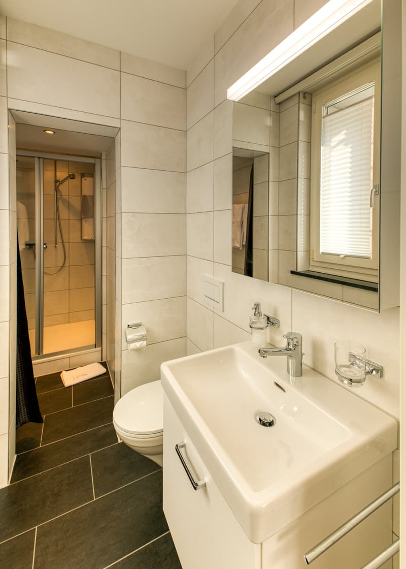 Modernes, möbliertes 2-Zimmer-Apartment in Hergiswil/NW zu vermieten (8)