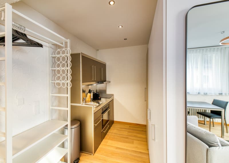 Modernes, möbliertes 2-Zimmer-Apartment in Hergiswil/NW zu vermieten (5)