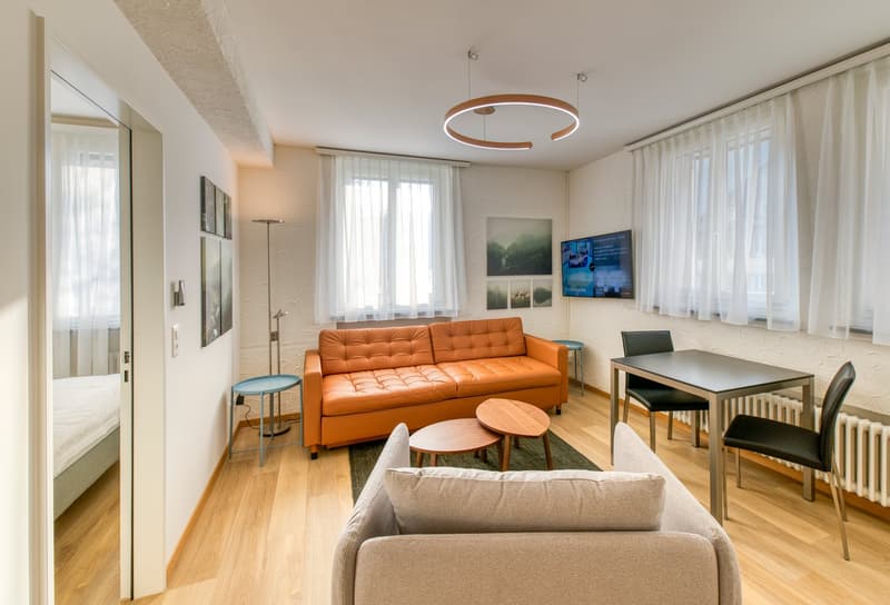 Modernes, möbliertes 2-Zimmer-Apartment in Hergiswil/NW zu vermieten (1)
