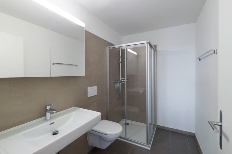 Moderne 3.5-Zimmer-Wohnung - Kreuzäcker Spreitenbach (8)