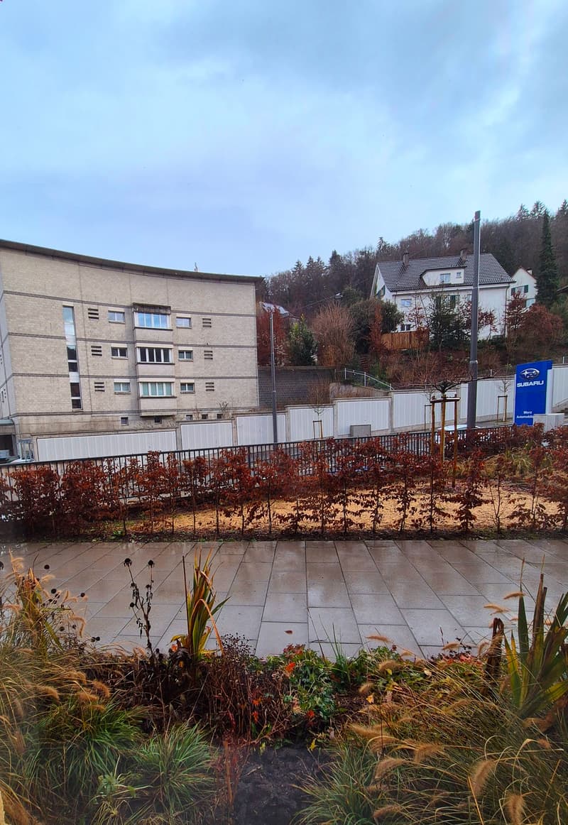 Altbau 4.5-Zimmer Wohnung mit Charme sucht neue Bewohner (13)