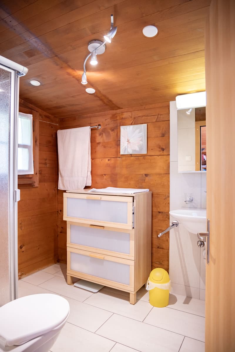 Gemütliches Studio im idyllischen Verdasio (4)