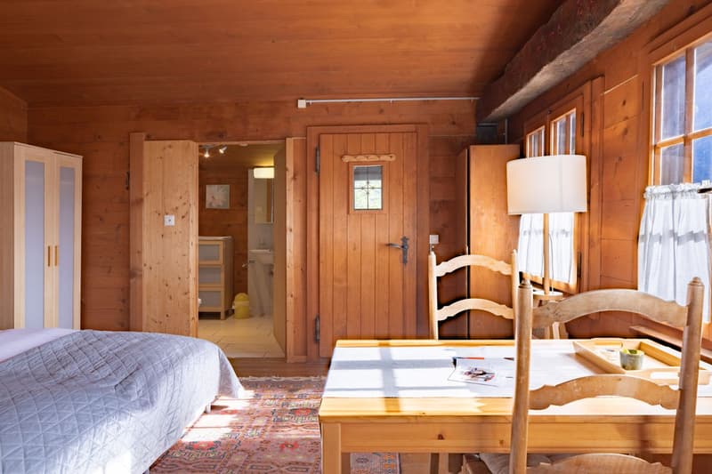 Gemütliches Studio im idyllischen Verdasio (3)
