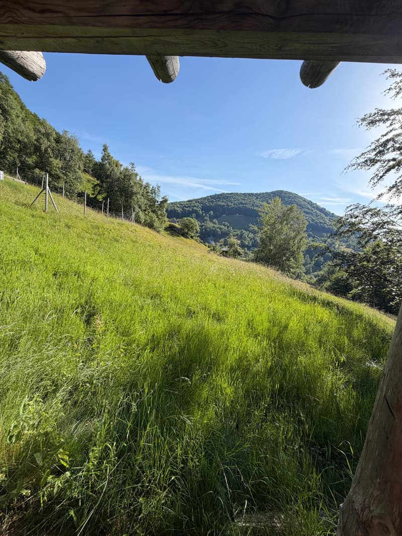 Einzigartige Rustici - warten auf dem Monte Comino auf Sie! (12)