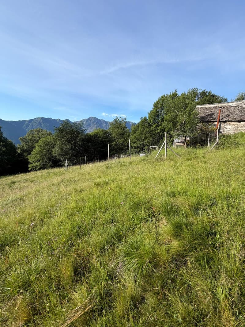 Einzigartige Rustici - warten auf dem Monte Comino auf Sie! (10)