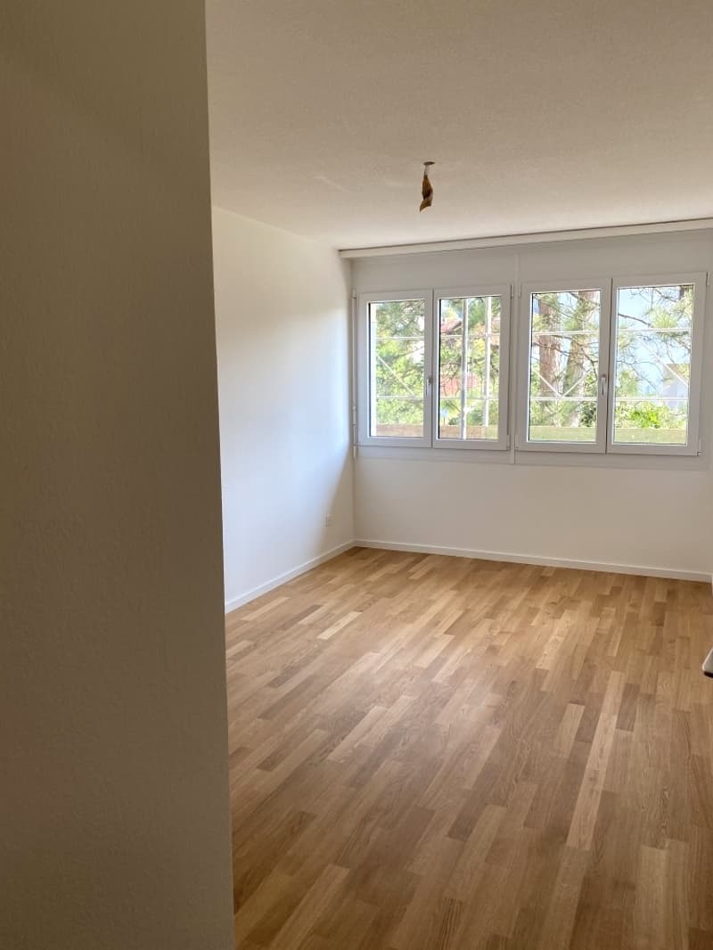 Lichtdurchflutete 4.5-Zimmer-Maisonette-Wohnung (6)