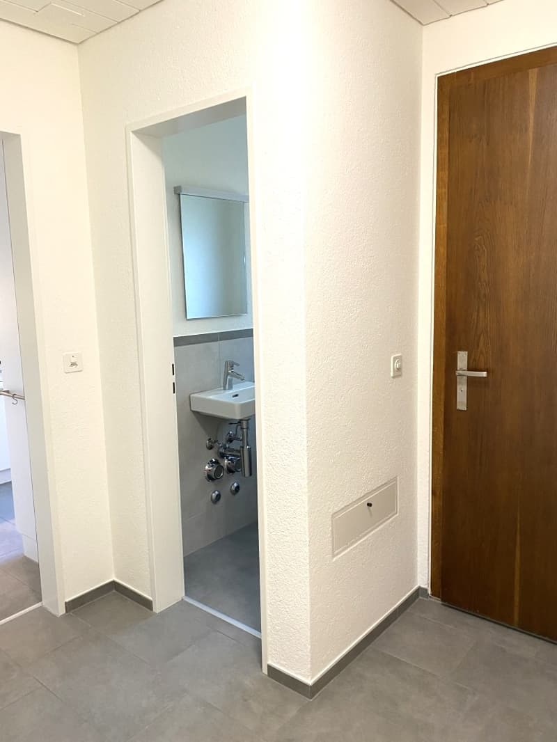 Lichtdurchflutete 4.5-Zimmer-Maisonette-Wohnung (10)