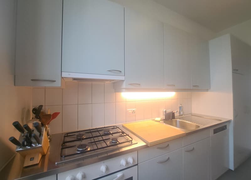 Charmante 4-Zimmer-Altbauwohnung im Herzen von Baden (5)