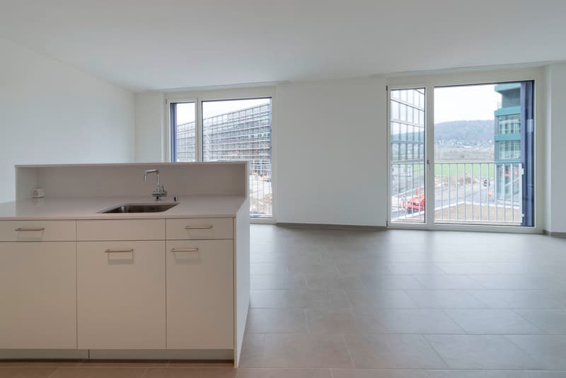 Moderne 3.5-Zimmer-Wohnung in dynamischen Quartier (2)