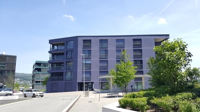 Moderne 3.5-Zimmer-Wohnung in dynamischen Quartier (8)