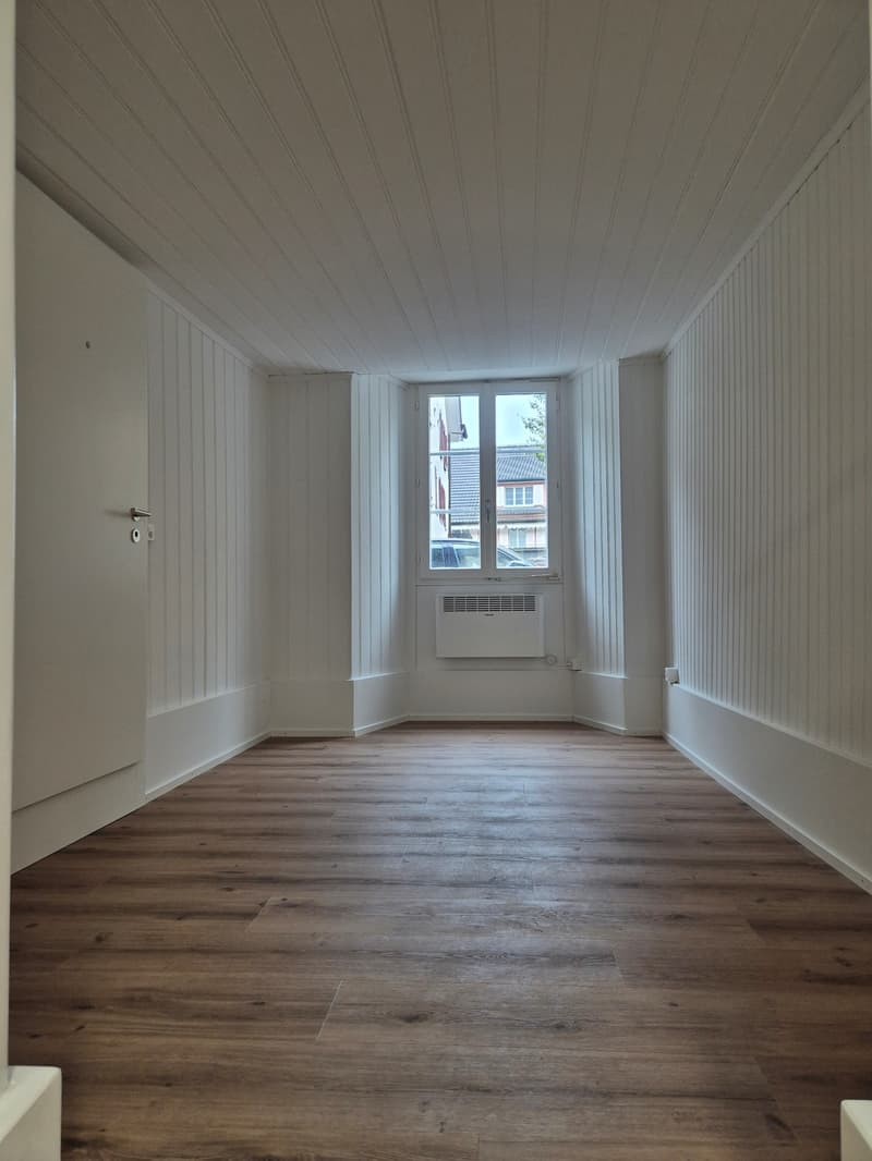 Singlewohnung direkt an der Reuss (1)
