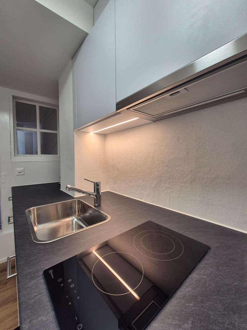 Singlewohnung direkt an der Reuss (5)