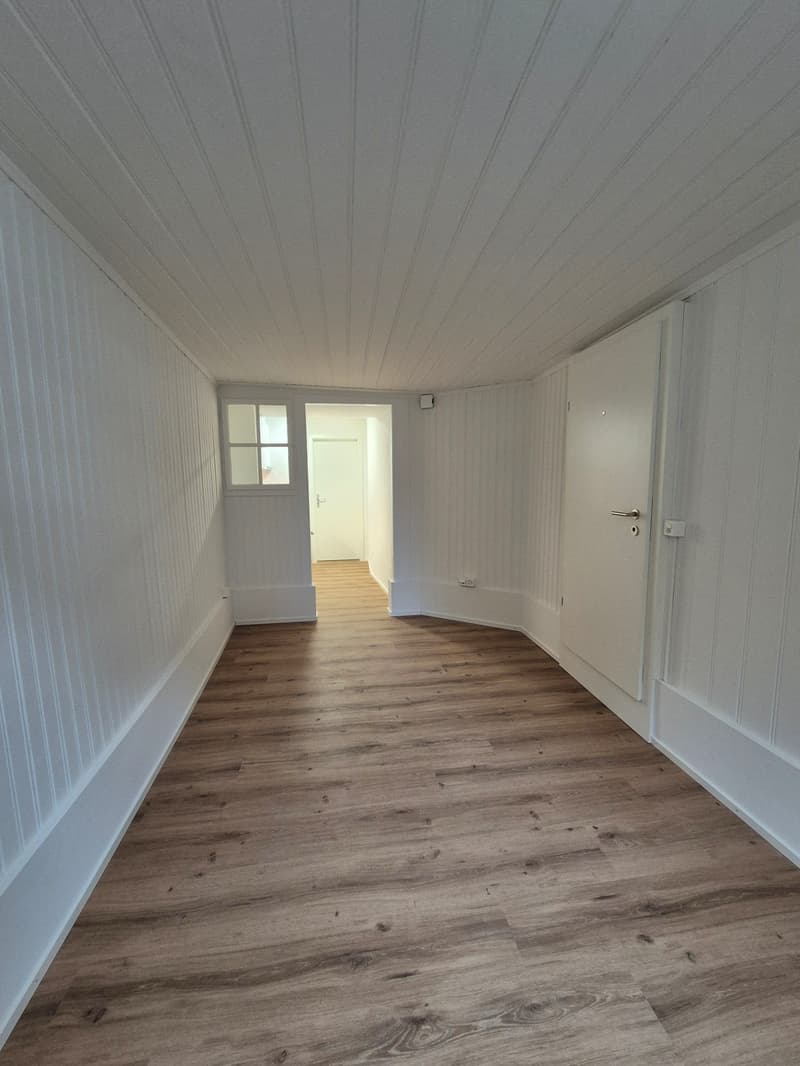 Singlewohnung direkt an der Reuss (3)