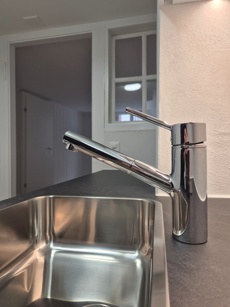 Singlewohnung direkt an der Reuss (4)