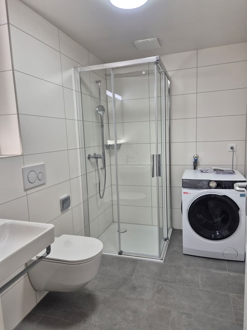 Singlewohnung direkt an der Reuss (8)