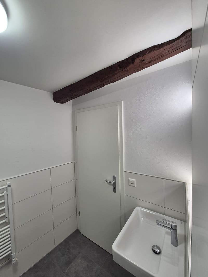 Singlewohnung direkt an der Reuss (7)