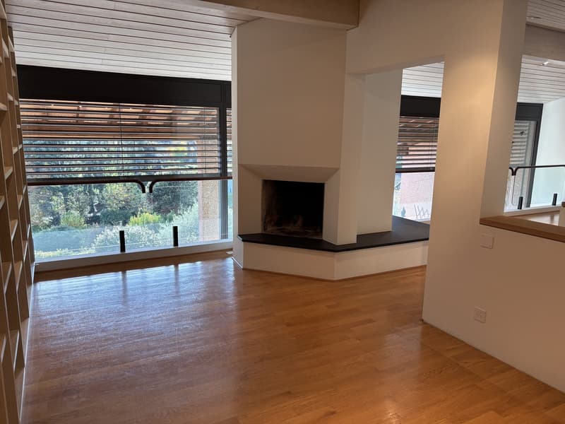 wooden floor, central fireplace, large windows, wooden bookshelves