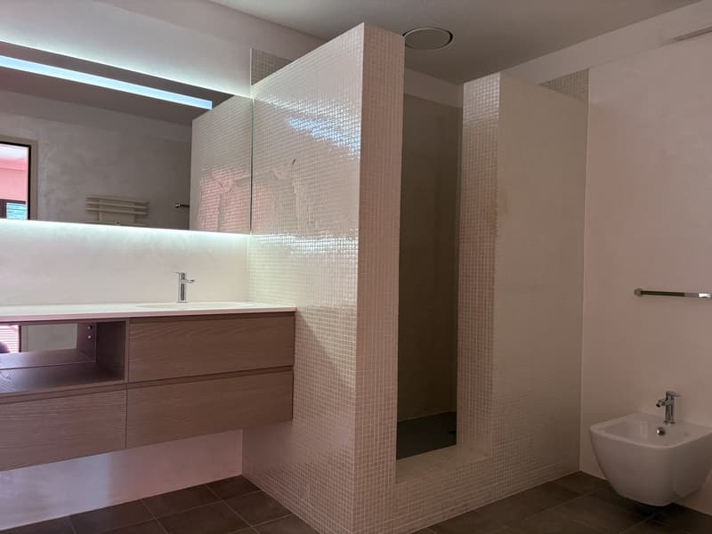 Modern bathroom, tiled walls, vanity with wooden drawers, modern shower area, round ceiling light