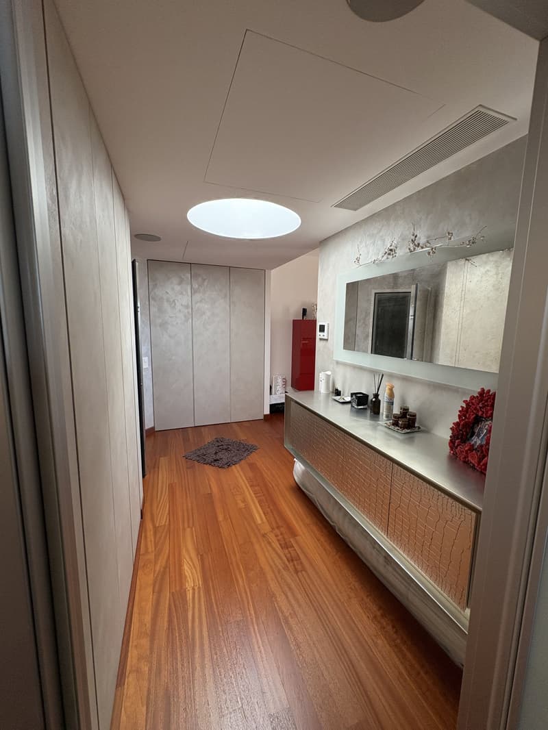 A narrow hallway with a large mirror, a cabinet, a rug, and an open closet with glass doors.
