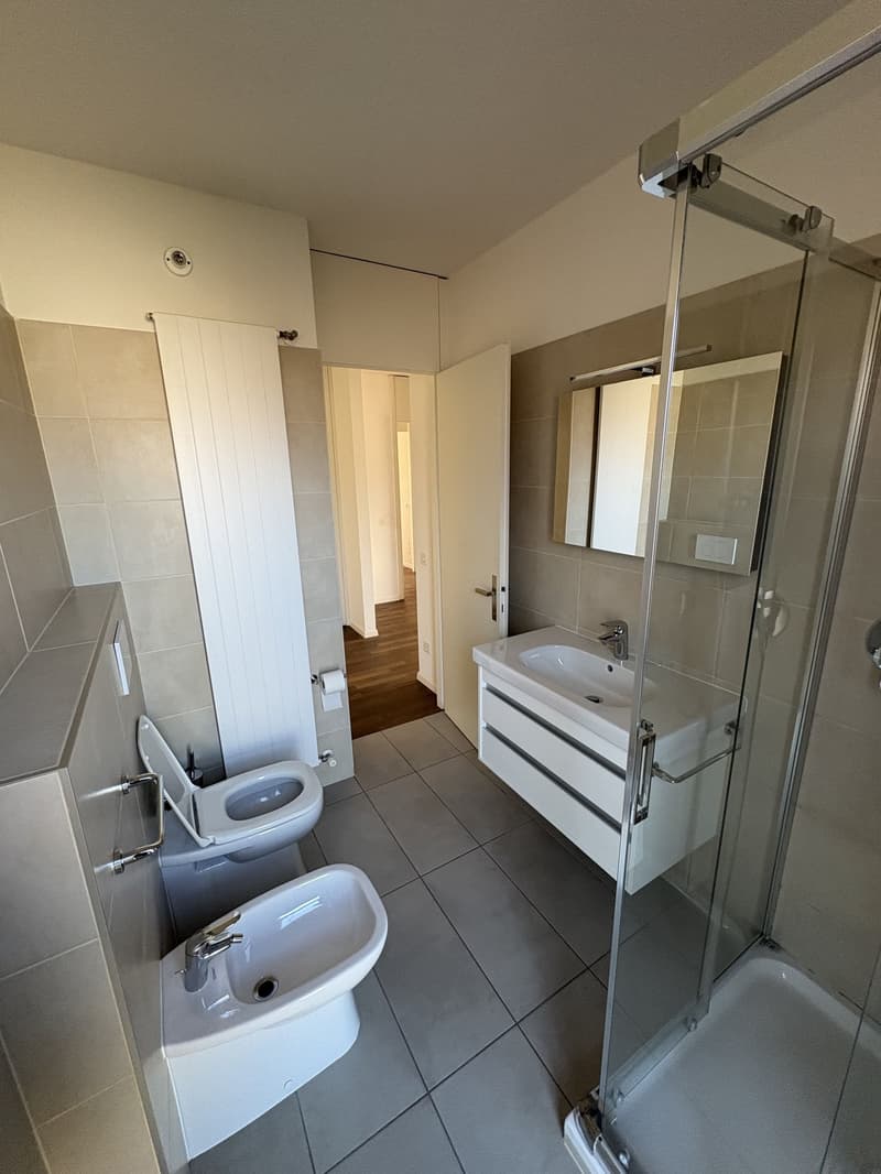Attico esclusivo con terrazza di 115 m² e accesso diretto con ascensore (11)