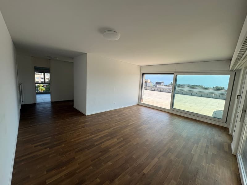 Attico esclusivo con terrazza di 115 m² e accesso diretto con ascensore (4)