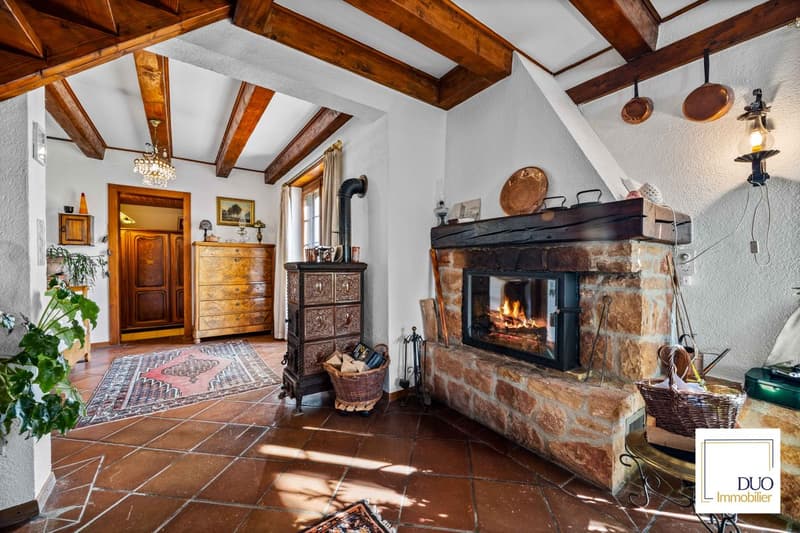 Maison authentique de 7,5 pièces (6)