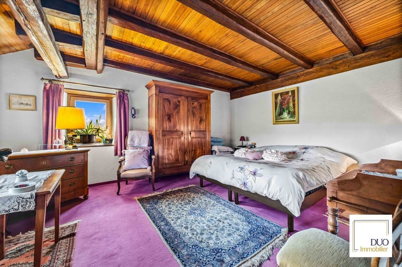 Maison authentique de 7,5 pièces (9)